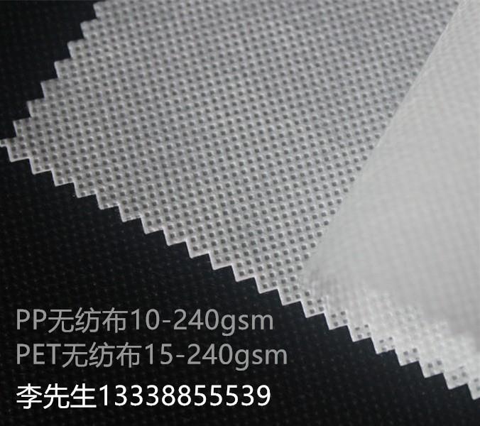 聚酯无纺布 聚酯无纺布