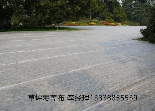 农业园艺用无纺布 农业园艺用无纺布