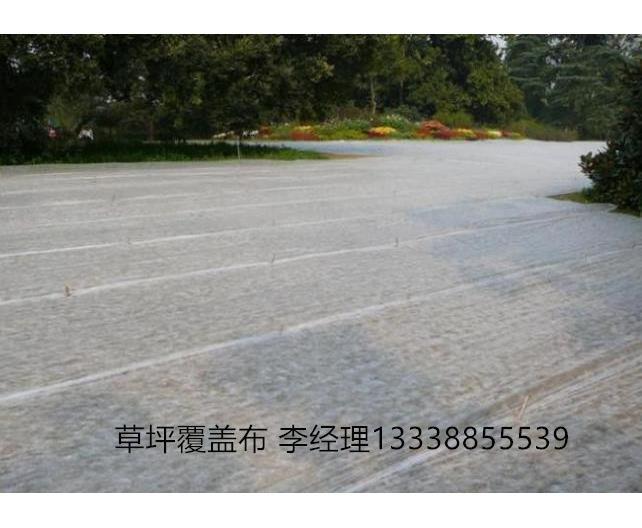 农业园艺用无纺布